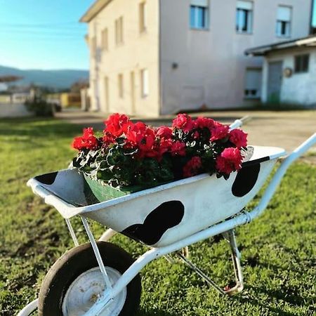 Viviendas Uso Turistico Reme II Foz Εξωτερικό φωτογραφία